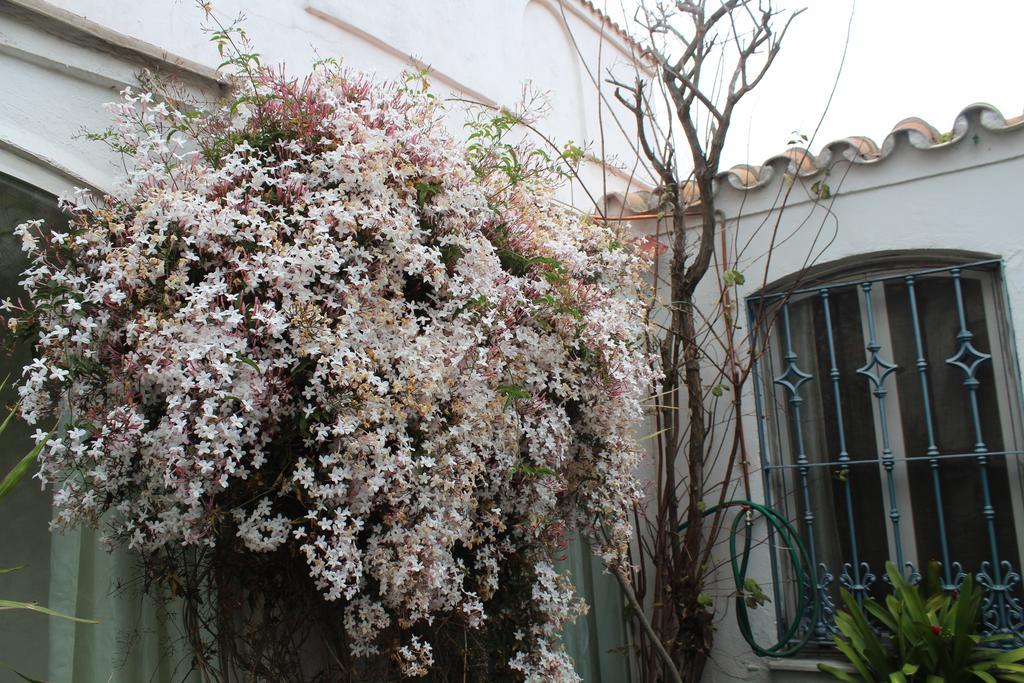 Casa Colonia Villa La Línea de la Concepción Eksteriør bilde